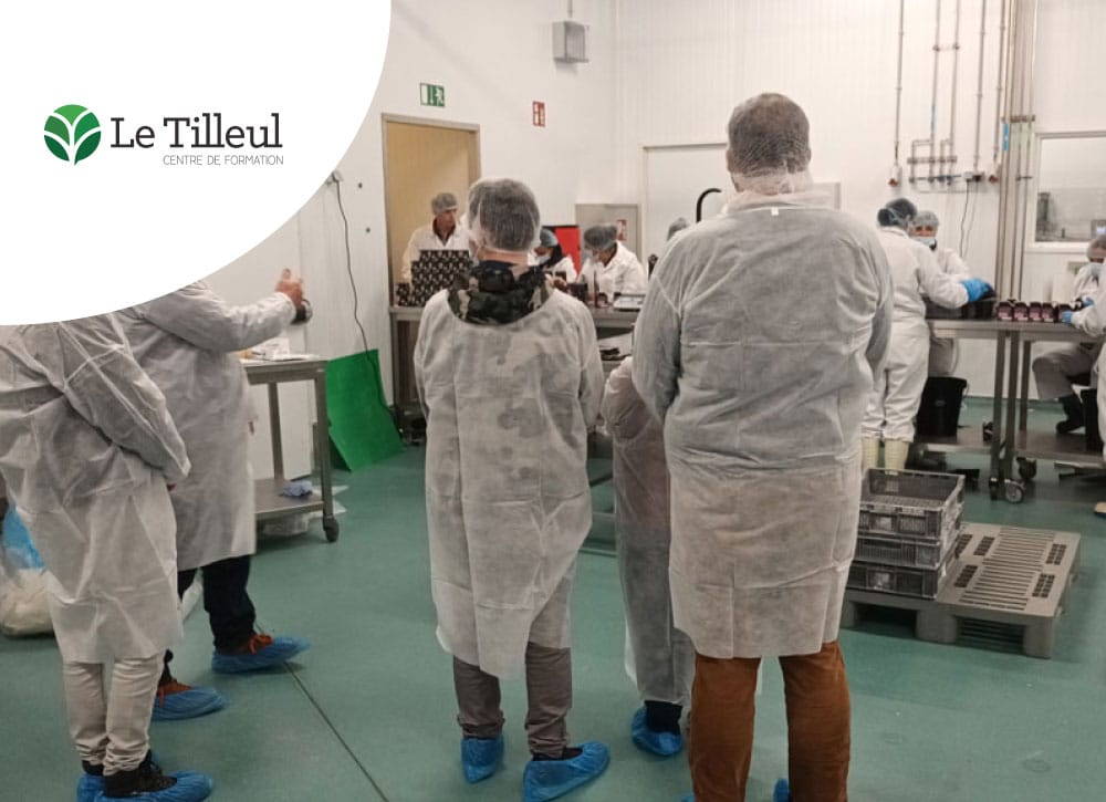 Le tilleul determination de projet